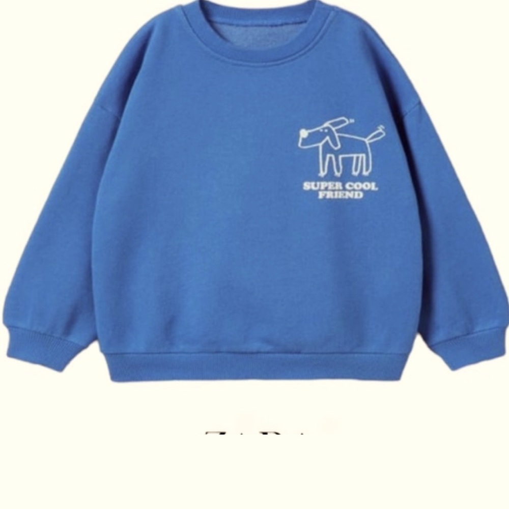 Zara Kids 3-4 sweatshirt